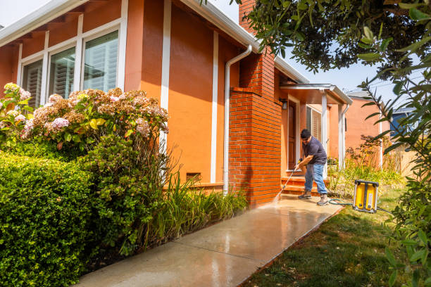 Best Pressure Washing Near Me  in North New Hyde Park, NY